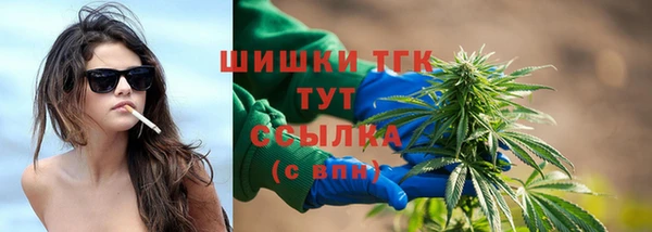 МДПВ Дмитриев