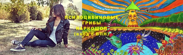 МДПВ Дмитриев