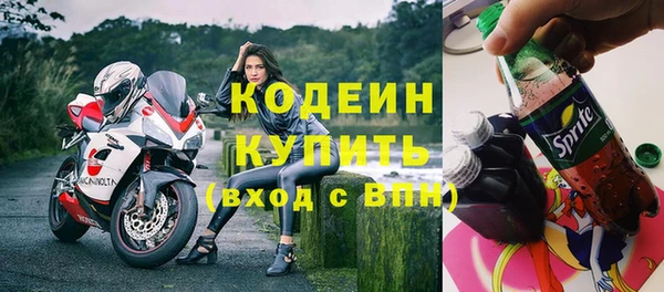 МДПВ Дмитриев