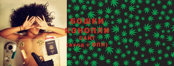 МДПВ Дмитриев