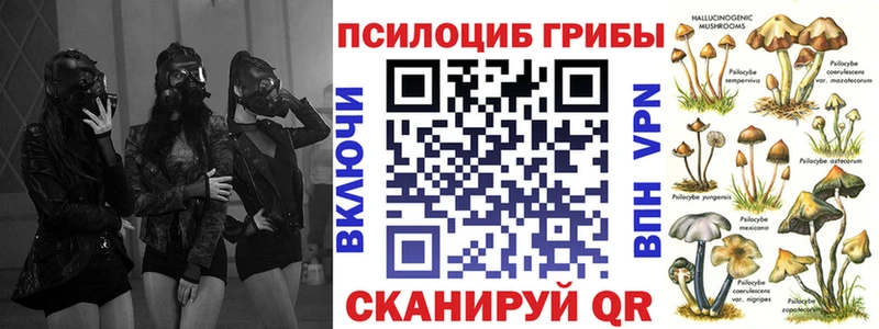 Псилоцибиновые грибы прущие грибы  Емва 